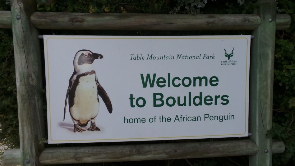 2014-01-10 penguin sign2